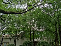 -食膳公园包子铺(烈士公园店)