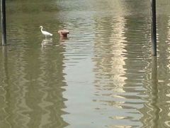 -苏州河梦清园环保主题公园