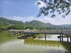 -顺峰山公园