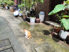 -淮海坊