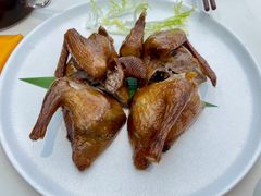 陈皮妙龄乳鸽-蔡澜点心·粤菜(月星环球港店)