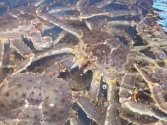 -海景壹号大酒店(滨湖店)