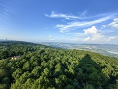 -铁山坪森林公园