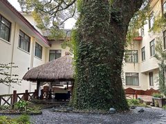 -普陀山雷迪森庄园