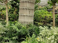 -南宫五洲植物乐园