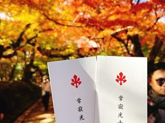 -常寂光寺