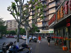 -全乐鱼馆·淳牌有机鱼直营店