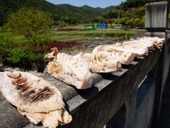 -鹿亭中村