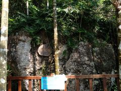 -七仙岭温泉国家森林公园