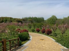 -同里国家湿地公园