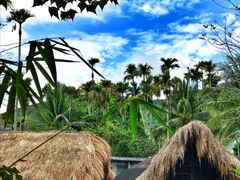 -海南槟榔谷黎苗文化旅游区