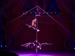 -珠海横琴长隆《卡卡虎奇遇记》