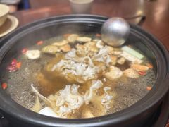 -滇野云南野生菌餐厅(陕西南路店)