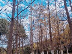 -白马涧龙池景区