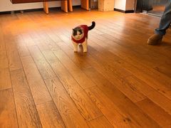 -布梵·台式热敷古法按摩Massage·Spa(品尊国际店)