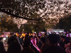 -南京奥林匹克体育中心-体育馆