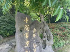 -上海滨江森林公园