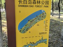 -长白岛森林公园