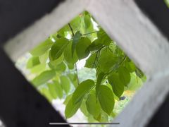 -广州市紫泥堂文化创意园景区