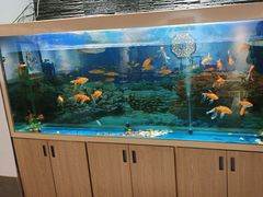 -食悦江南·淮扬菜·烤鸭(亚运村·惠新店)