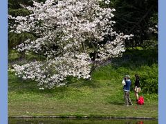 -上海共青森林公园