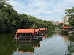 -侨美·唐荔园·40年地道粤菜