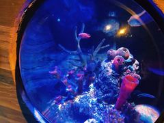 -沈阳海洋探索中心