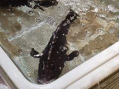 -沈家门海鲜夜排档(东港店)