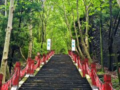 -窦圌山风景区