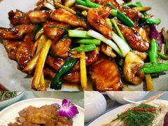 -鲤鱼塘农家山庄