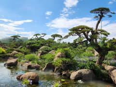 -罗红摄影艺术馆