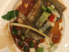 -东方红海鲜百汇(国际大厦店)