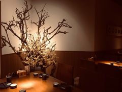-纯彩日本料理