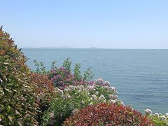 -贡湖湾湿地公园