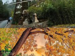 -千佛山风景名胜区
