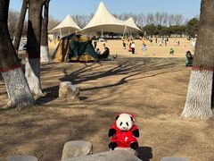 -石家庄市植物园