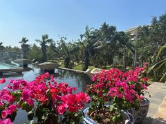 -亚龙湾喜来登·美景台大堂吧