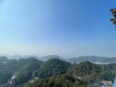 -大金鹰园
