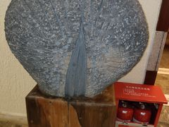 -森波拉火山温泉