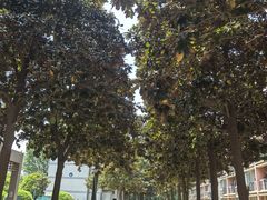 -南京邮电大学(仙林校区)