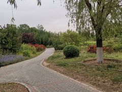 -永定河休闲森林公园