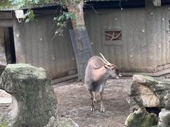 -成都动物园