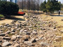 -白塘生态植物园