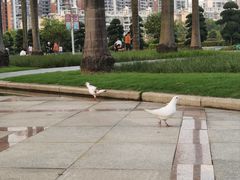 -顺峰山公园