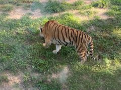 -西安秦岭野生动物园