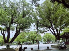 -八大山人梅湖景区