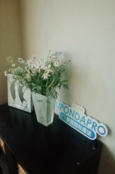 -栖SPA·ONDA ·海菲秀·皑皑科技美肤中心