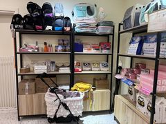 -柚子猫舍·精品猫舍购猫·猫咪认养·购宠·宠物店