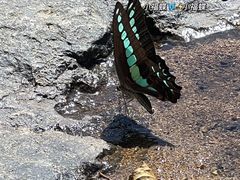 -溪口-滕头旅游景区