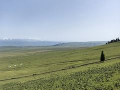-新疆那拉提国家旅游度假区